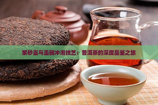 紫砂壶与盖碗冲泡技艺：普洱茶的深度品鉴之旅