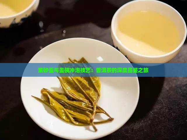 紫砂壶与盖碗冲泡技艺：普洱茶的深度品鉴之旅