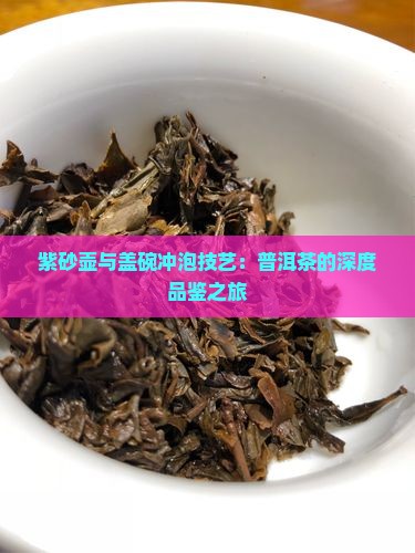 紫砂壶与盖碗冲泡技艺：普洱茶的深度品鉴之旅