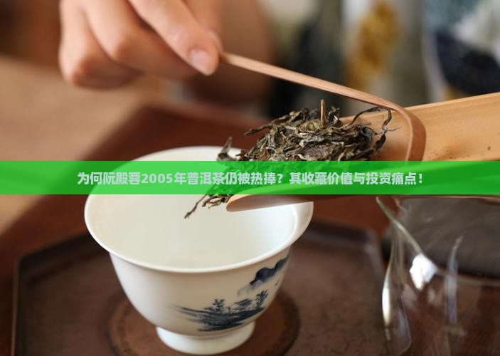 为何阮殿蓉2005年普洱茶仍被热捧？其收藏价值与投资痛点！