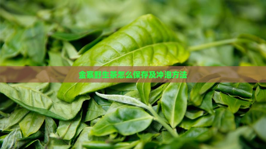 金寨野生茶怎么保存及冲泡方法