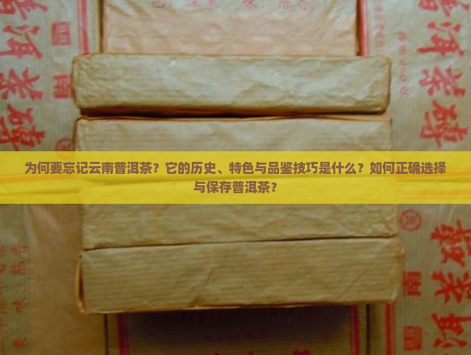 为何要忘记云南普洱茶？它的历史、特色与品鉴技巧是什么？如何正确选择与保存普洱茶？