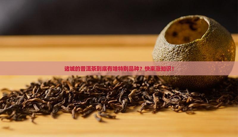 诸城的普洱茶到底有啥特别品种？快来涨知识！