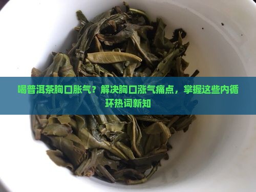 喝普洱茶胸口胀气？解决胸口涨气痛点，掌握这些内循环热词新知
