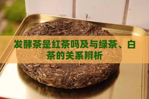 发酵茶是红茶吗及与绿茶、白茶的关系辨析