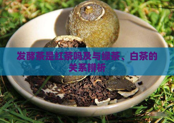 发酵茶是红茶吗及与绿茶、白茶的关系辨析