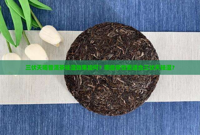 三伏天喝普洱茶祛湿效果如何？哪些茶饮更适合三伏天祛湿？
