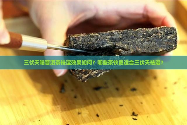 三伏天喝普洱茶祛湿效果如何？哪些茶饮更适合三伏天祛湿？