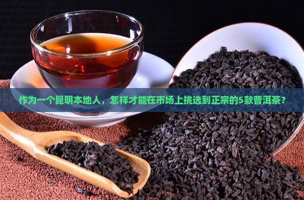 作为一个昆明本地人，怎样才能在市场上挑选到正宗的5款普洱茶？