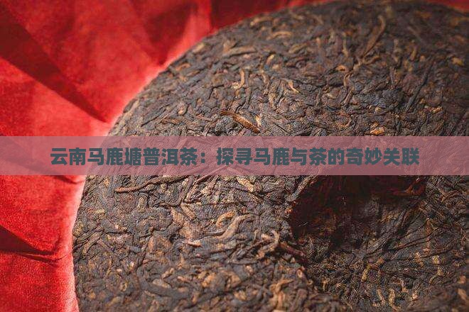 云南马鹿塘普洱茶：探寻马鹿与茶的奇妙关联
