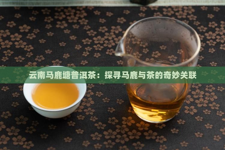 云南马鹿塘普洱茶：探寻马鹿与茶的奇妙关联