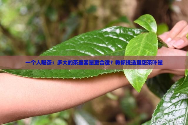 一个人喝茶：多大的茶壶容量更合适？教你挑选理想茶叶量