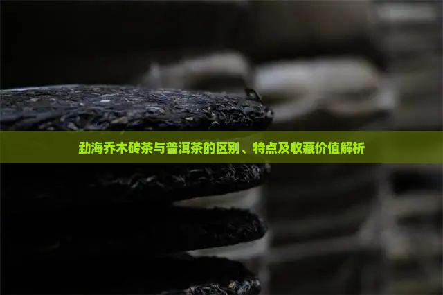 勐海乔木砖茶与普洱茶的区别、特点及收藏价值解析