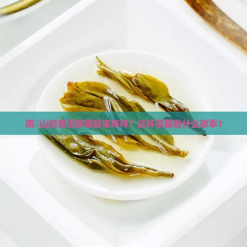 南檽山的普洱茶喝起来咋样？这杯茶藏着什么故事？