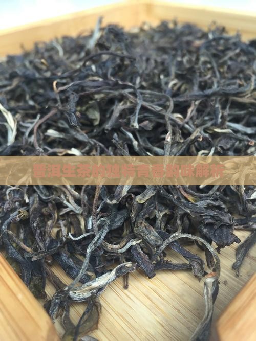 普洱生茶的独特青香韵味解析