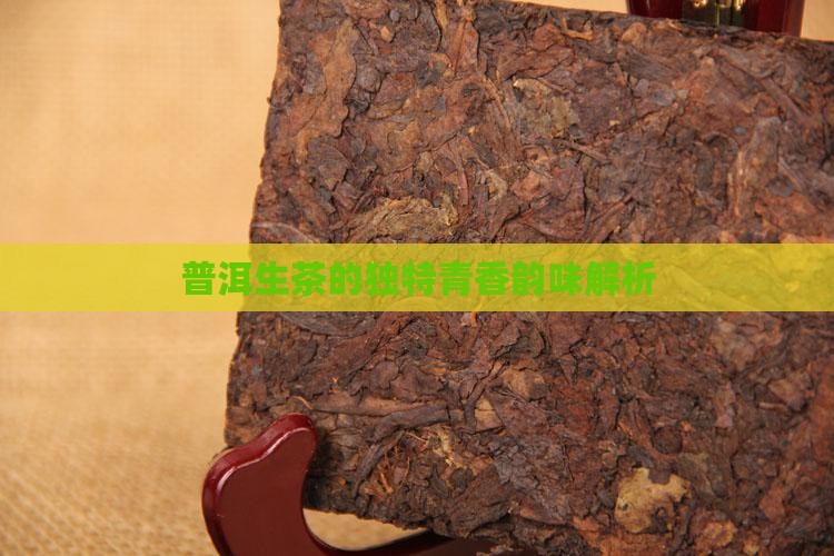 普洱生茶的独特青香韵味解析
