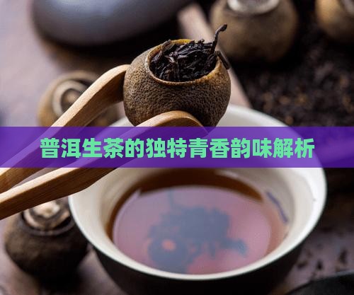 普洱生茶的独特青香韵味解析