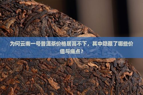为何云南一号普洱茶价格居高不下，其中隐藏了哪些价值与痛点？