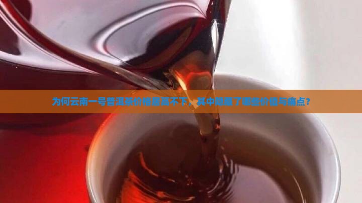 为何云南一号普洱茶价格居高不下，其中隐藏了哪些价值与痛点？