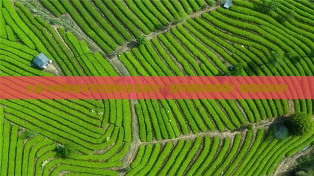 大益10年黄金岁月生茶价格是多少？如何鉴别其真假？值得投资吗？