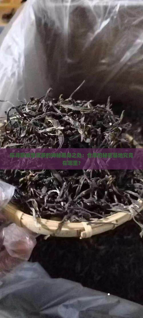 探寻聊城普洱茶的神秘藏身之处：仓库的秘密基地究竟在哪里？