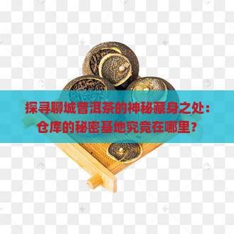 探寻聊城普洱茶的神秘藏身之处：仓库的秘密基地究竟在哪里？