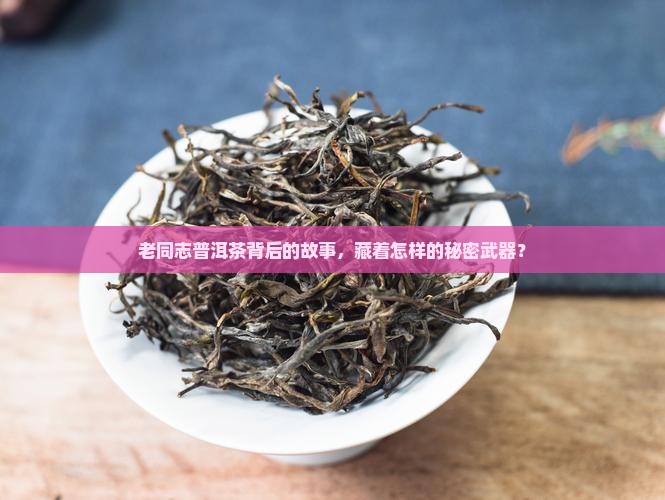 老同志普洱茶背后的故事，藏着怎样的秘密武器？