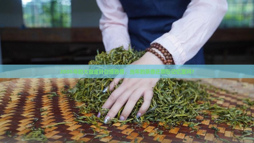 2005年的大益金针白莲熟普，当年的茶香还飘在记忆里吗？