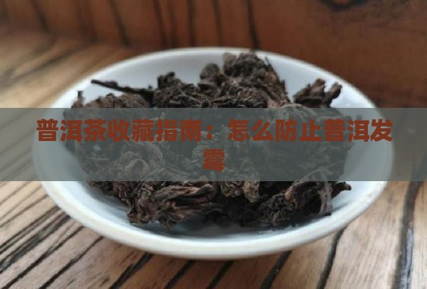 普洱茶收藏指南：怎么防止普洱发霉