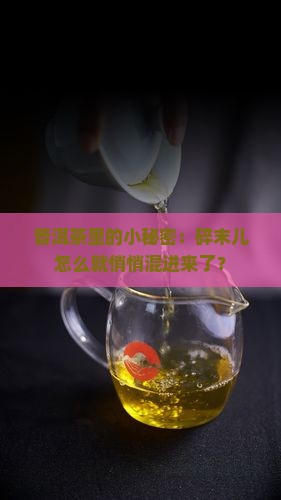 普洱茶里的小秘密：碎末儿怎么就悄悄混进来了？