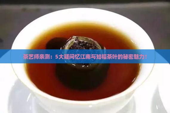 茶艺师亲测：5大疑问忆江南与知福茶叶的秘密魅力！