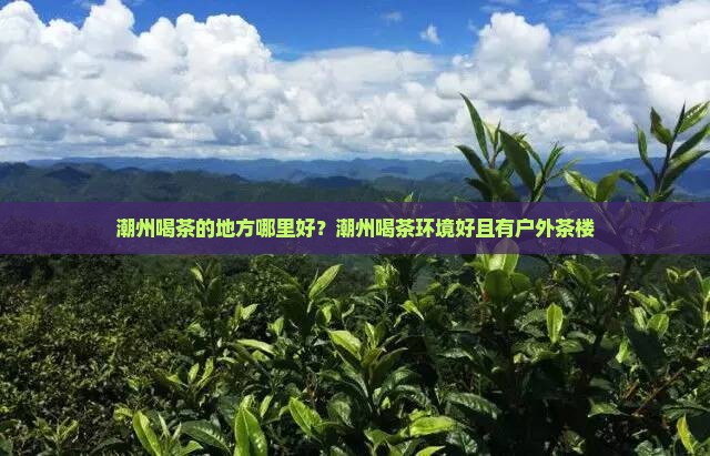 潮州喝茶的地方哪里好？潮州喝茶环境好且有户外茶楼