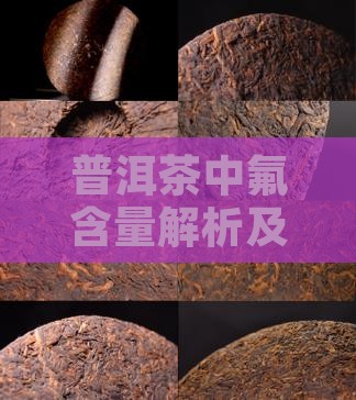 普洱茶中氟含量解析及影响探究