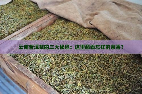 云南普洱茶的三大秘境：这里藏着怎样的茶香？