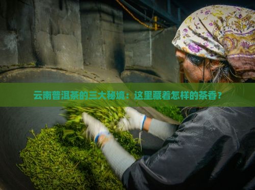 云南普洱茶的三大秘境：这里藏着怎样的茶香？