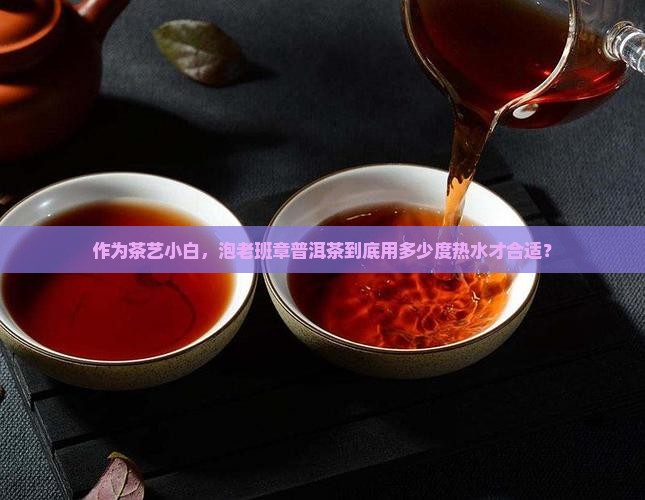 作为茶艺小白，泡老班章普洱茶到底用多少度热水才合适？