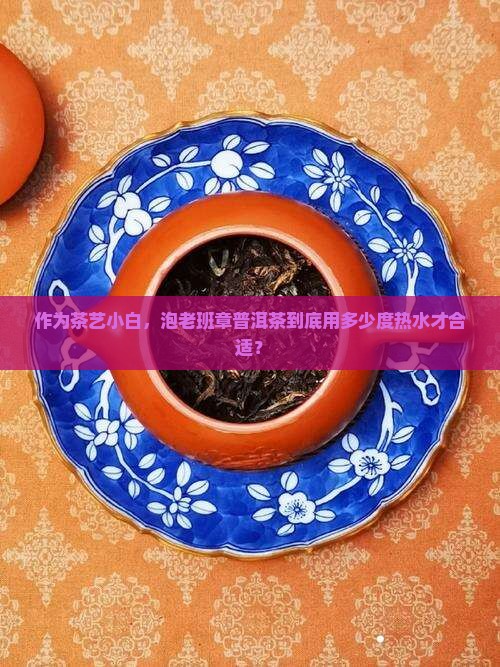 作为茶艺小白，泡老班章普洱茶到底用多少度热水才合适？