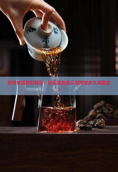 好奇普洱茶的秘密：茶乐福的宝贝能存放多久再品尝？