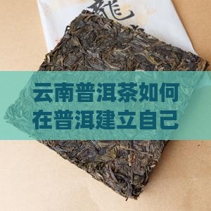 云南普洱茶如何在普洱建立自己的