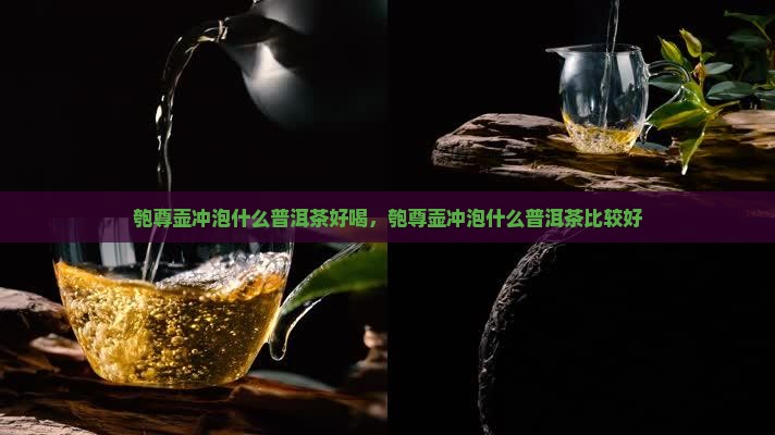 匏尊壶冲泡什么普洱茶好喝，匏尊壶冲泡什么普洱茶比较好