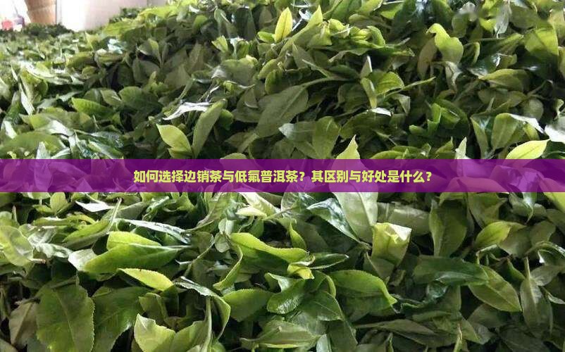 如何选择边销茶与低氟普洱茶？其区别与好处是什么？