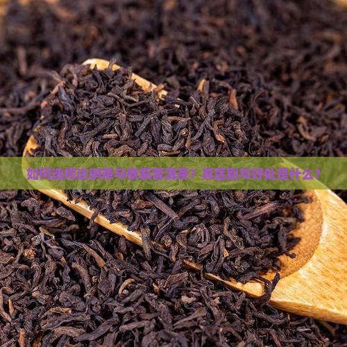 如何选择边销茶与低氟普洱茶？其区别与好处是什么？