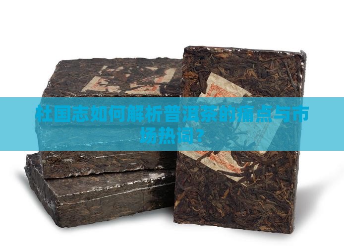杜国志如何解析普洱茶的痛点与市场热词？