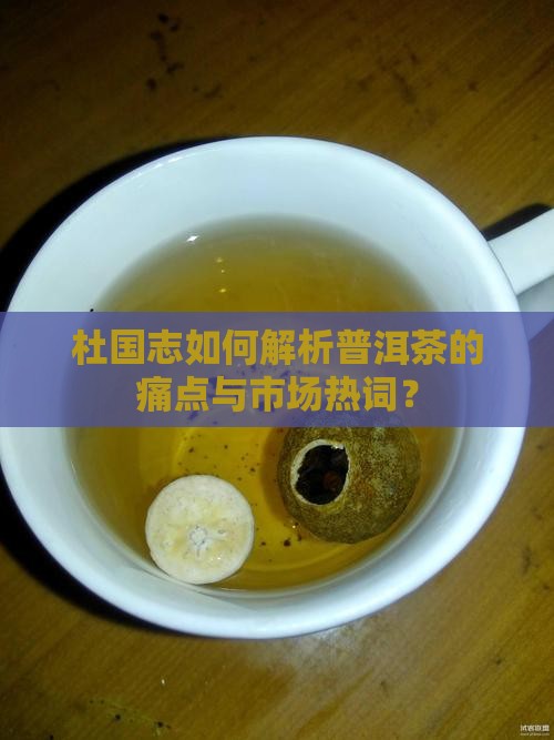 杜国志如何解析普洱茶的痛点与市场热词？