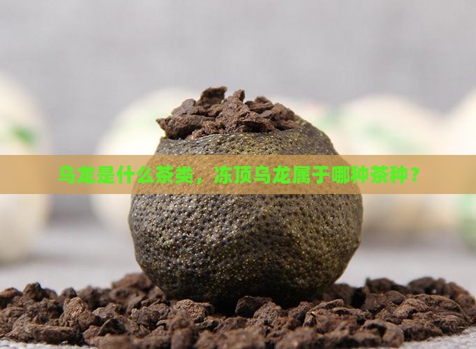 乌龙是什么茶类，冻顶乌龙属于哪种茶种？