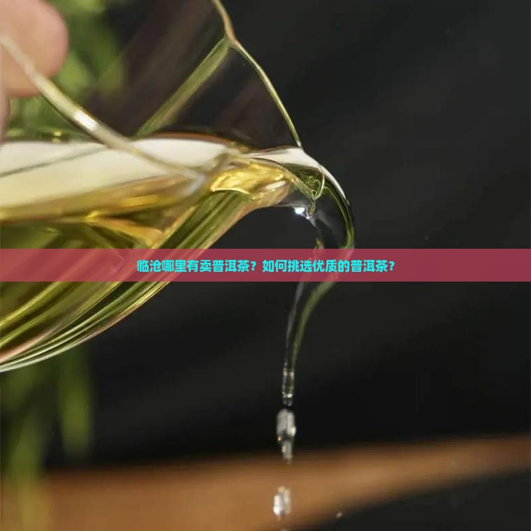 临沧哪里有卖普洱茶？如何挑选优质的普洱茶？