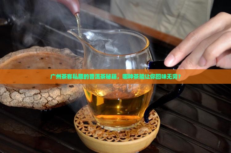 广州茶客私藏的普洱茶秘籍，哪种茶能让你回味无穷？