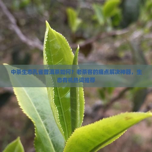 中茶生态孔雀普洱茶如何？老茶客的痛点解决神器，生态有机热词推荐