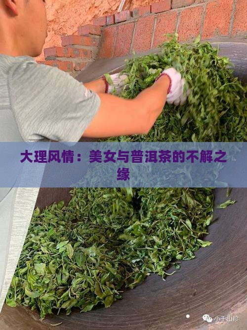 大理风情：美女与普洱茶的不解之缘