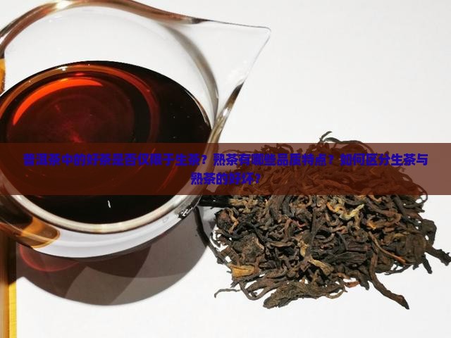普洱茶中的好茶是否仅限于生茶？熟茶有哪些品质特点？如何区分生茶与熟茶的好坏？